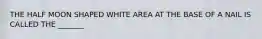 THE HALF MOON SHAPED WHITE AREA AT THE BASE OF A NAIL IS CALLED THE _______