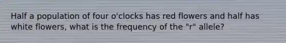 Half a population of four o'clocks has red flowers and half has white flowers, what is the frequency of the "r" allele?