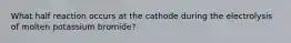 What half reaction occurs at the cathode during the electrolysis of molten potassium bromide?