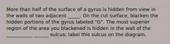 More than half of the surface of a gyrus is hidden from view in the walls of two adjacent _____. On the cut surface, blacken the hidden portions of the gyrus labeled "G". The most superior region of the area you blackened is hidden in the wall of the ___________ ______ sulcus; label this sulcus on the diagram.