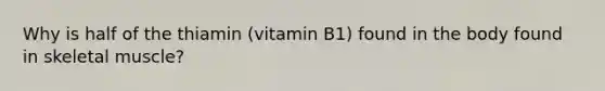 Why is half of the thiamin (vitamin B1) found in the body found in skeletal muscle?