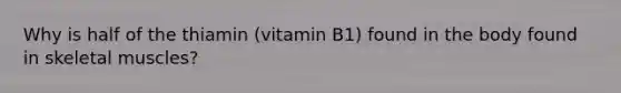 Why is half of the thiamin (vitamin B1) found in the body found in skeletal muscles?