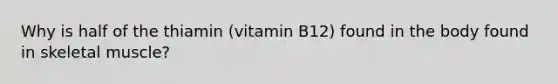 Why is half of the thiamin (vitamin B12) found in the body found in skeletal muscle?