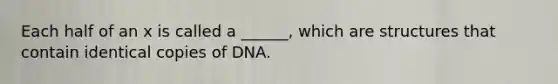 Each half of an x is called a ______, which are structures that contain identical copies of DNA.