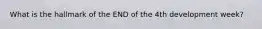 What is the hallmark of the END of the 4th development week?