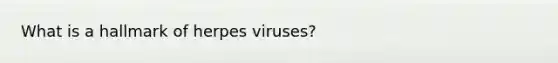 What is a hallmark of herpes viruses?