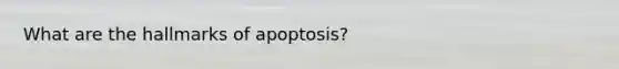 What are the hallmarks of apoptosis?