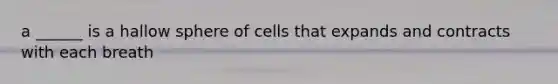 a ______ is a hallow sphere of cells that expands and contracts with each breath