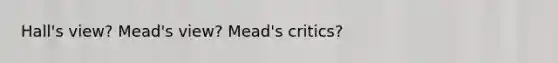 Hall's view? Mead's view? Mead's critics?