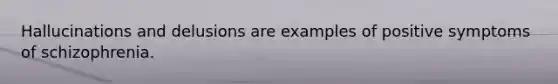 Hallucinations and delusions are examples of positive symptoms of schizophrenia.