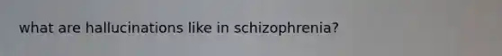 what are hallucinations like in schizophrenia?