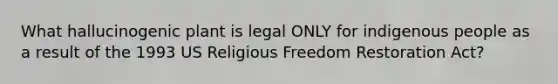 What hallucinogenic plant is legal ONLY for indigenous people as a result of the 1993 US Religious Freedom Restoration Act?