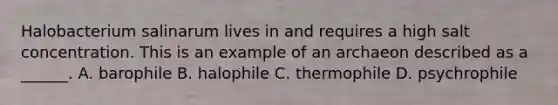 Halobacterium salinarum lives in and requires a high salt concentration. This is an example of an archaeon described as a ______. A. barophile B. halophile C. thermophile D. psychrophile