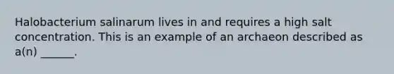 Halobacterium salinarum lives in and requires a high salt concentration. This is an example of an archaeon described as a(n) ______.