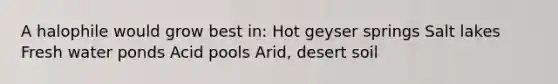 A halophile would grow best in: Hot geyser springs Salt lakes Fresh water ponds Acid pools Arid, desert soil