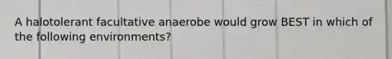 A halotolerant facultative anaerobe would grow BEST in which of the following environments?