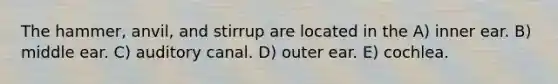 The hammer, anvil, and stirrup are located in the A) inner ear. B) middle ear. C) auditory canal. D) outer ear. E) cochlea.