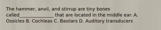 The hammer, anvil, and stirrup are tiny bones called_______________ that are located in the middle ear. A. Ossicles B. Cochleas C. Basilars D. Auditory transducers