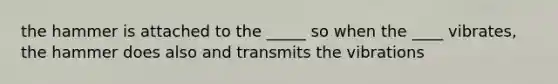 the hammer is attached to the _____ so when the ____ vibrates, the hammer does also and transmits the vibrations