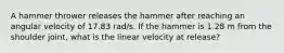 A hammer thrower releases the hammer after reaching an angular velocity of 17.83 rad/s. If the hammer is 1.28 m from the shoulder joint, what is the linear velocity at release?