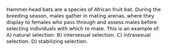 Hammer-head bats are a species of African fruit bat. During the breeding season, males gather in mating arenas, where they display to females who pass through and assess males before selecting individuals with which to mate. This is an example of: A) natural selection. B) intersexual selection. C) intrasexual selection. D) stabilizing selection.