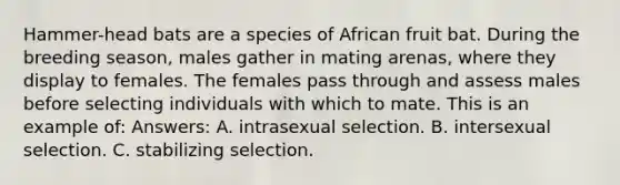 Hammer-head bats are a species of African fruit bat. During the breeding season, males gather in mating arenas, where they display to females. The females pass through and assess males before selecting individuals with which to mate. This is an example of: Answers: A. intrasexual selection. B. intersexual selection. C. stabilizing selection.