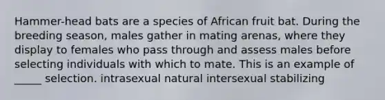 Hammer-head bats are a species of African fruit bat. During the breeding season, males gather in mating arenas, where they display to females who pass through and assess males before selecting individuals with which to mate. This is an example of _____ selection. intrasexual natural intersexual stabilizing