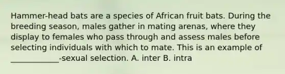 Hammer-head bats are a species of African fruit bats. During the breeding season, males gather in mating arenas, where they display to females who pass through and assess males before selecting individuals with which to mate. This is an example of ____________-sexual selection. A. inter B. intra