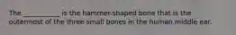 The ___________ is the hammer-shaped bone that is the outermost of the three small bones in the human middle ear.
