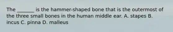 The _______ is the hammer-shaped bone that is the outermost of the three small bones in the human middle ear. A. stapes B. incus C. pinna D. malleus