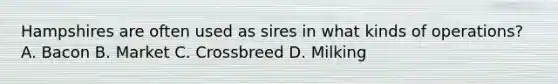 Hampshires are often used as sires in what kinds of operations? A. Bacon B. Market C. Crossbreed D. Milking