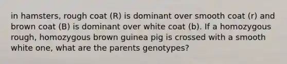 in hamsters, rough coat (R) is dominant over smooth coat (r) and brown coat (B) is dominant over white coat (b). If a homozygous rough, homozygous brown guinea pig is crossed with a smooth white one, what are the parents genotypes?