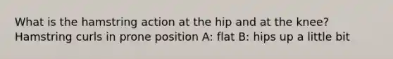 What is the hamstring action at the hip and at the knee? Hamstring curls in prone position A: flat B: hips up a little bit