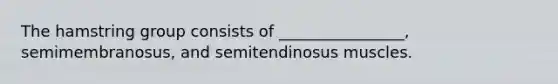 The hamstring group consists of ________________, semimembranosus, and semitendinosus muscles.