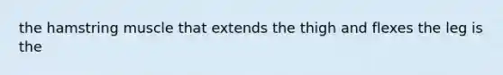 the hamstring muscle that extends the thigh and flexes the leg is the