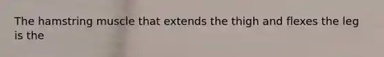 The hamstring muscle that extends the thigh and flexes the leg is the