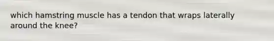 which hamstring muscle has a tendon that wraps laterally around the knee?