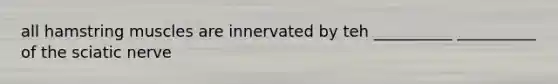 all hamstring muscles are innervated by teh __________ __________ of the sciatic nerve