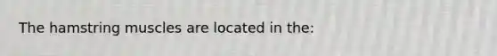 The hamstring muscles are located in the: