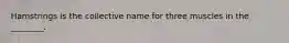 Hamstrings is the collective name for three muscles in the ________.