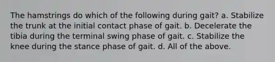 The hamstrings do which of the following during gait? a. Stabilize the trunk at the initial contact phase of gait. b. Decelerate the tibia during the terminal swing phase of gait. c. Stabilize the knee during the stance phase of gait. d. All of the above.