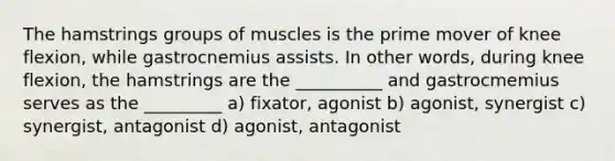 The hamstrings groups of muscles is the prime mover of knee flexion, while gastrocnemius assists. In other words, during knee flexion, the hamstrings are the __________ and gastrocmemius serves as the _________ a) fixator, agonist b) agonist, synergist c) synergist, antagonist d) agonist, antagonist