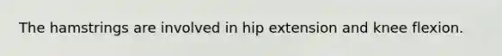 The hamstrings are involved in hip extension and knee flexion.