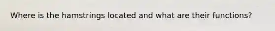 Where is the hamstrings located and what are their functions?