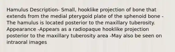 Hamulus Description- Small, hooklike projection of bone that extends from the medial pterygoid plate of the sphenoid bone -The hamulus is located posterior to the maxillary tuberosity. Appearance -Appears as a radiopaque hooklike projection posterior to the maxillary tuberosity area -May also be seen on intraoral images