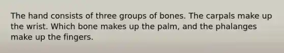 The hand consists of three groups of bones. The carpals make up the wrist. Which bone makes up the palm, and the phalanges make up the fingers.