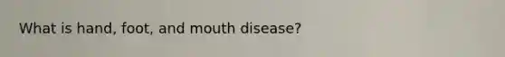 What is hand, foot, and mouth disease?