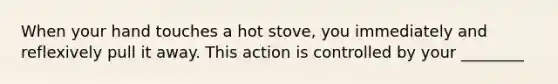 When your hand touches a hot stove, you immediately and reflexively pull it away. This action is controlled by your ________