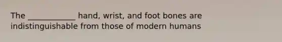 The ____________ hand, wrist, and foot bones are indistinguishable from those of modern humans