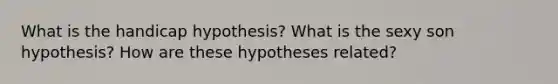 What is the handicap hypothesis? What is the sexy son hypothesis? How are these hypotheses related?